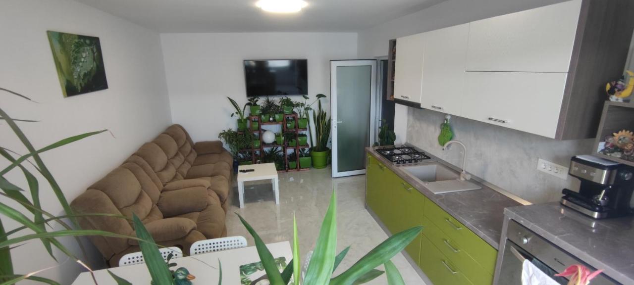 קונסטנצה Abel Luxury Home מראה חיצוני תמונה