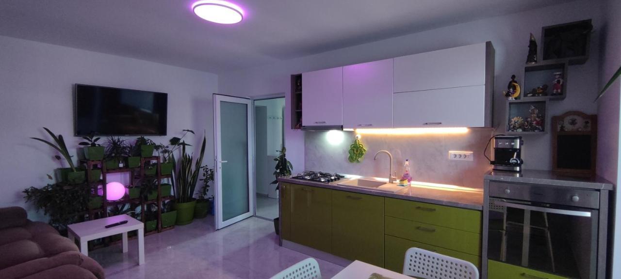 קונסטנצה Abel Luxury Home מראה חיצוני תמונה