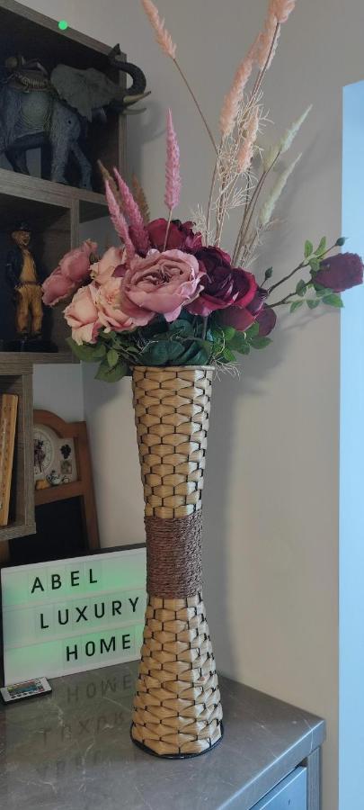 קונסטנצה Abel Luxury Home מראה חיצוני תמונה