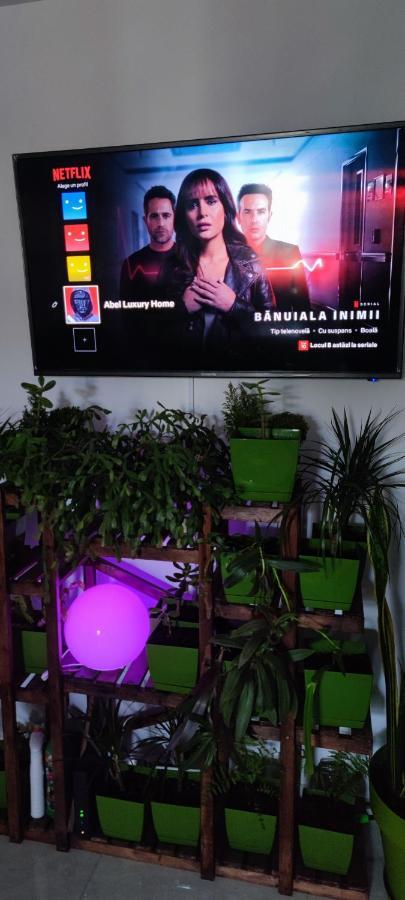 קונסטנצה Abel Luxury Home מראה חיצוני תמונה